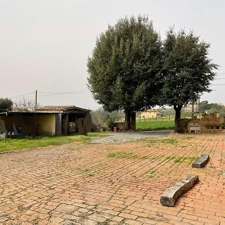 Podere Piazza Siena Kültér fotó