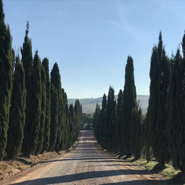 Podere Piazza Siena Kültér fotó